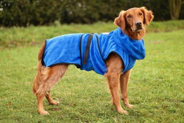 Hunde - Bademantel Chillcoat Premium blau